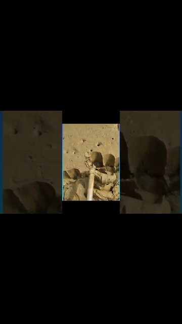 #shorts #2022 funny,prank,funjokes,dad jokes,funny memes,funny video,fun,laughing,funny animal,knock