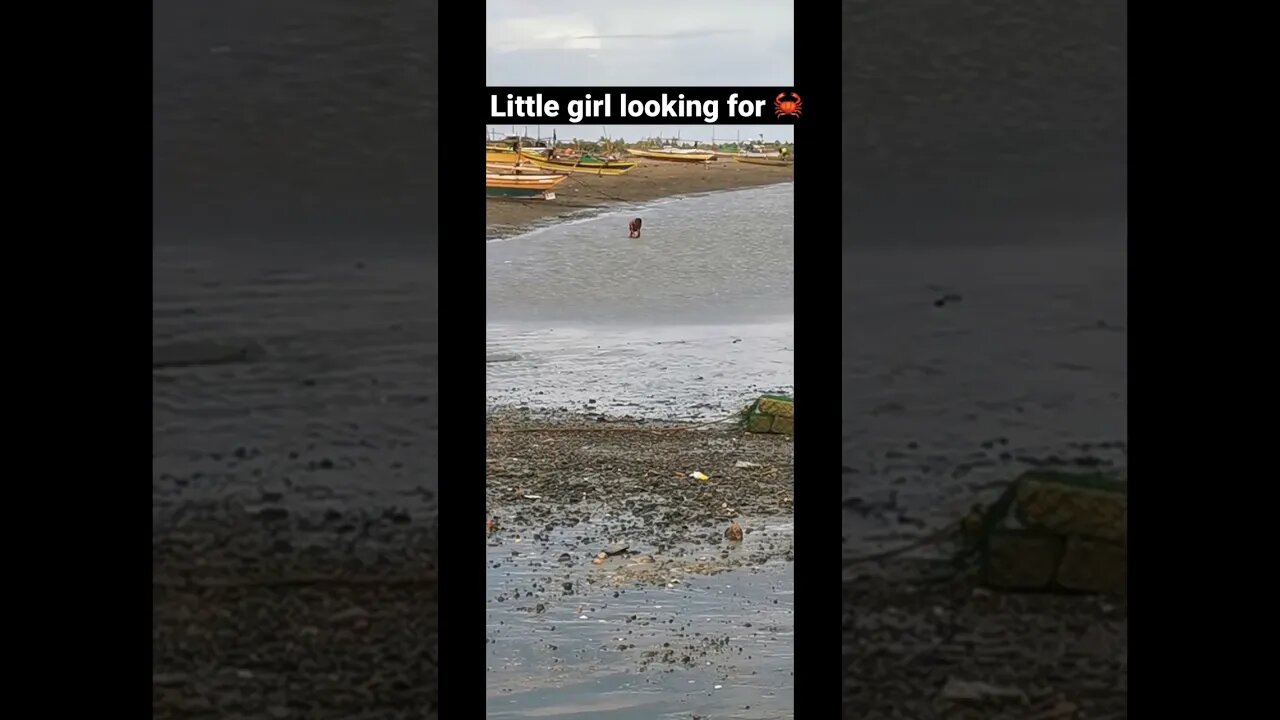 Hunting for crabs #philippines