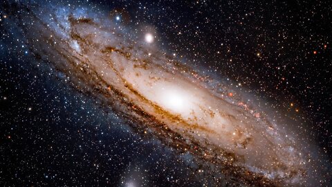 Yardism Live ⁵ ² ²²