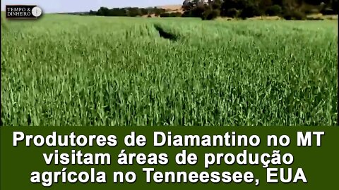 Produtores de Diamantino no MT visitam áreas de produção agrícola no Tenneessee, EUA