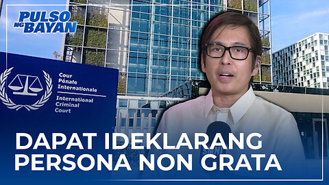 Rep. Dan Fernandez sa ICC: Dapat ideklarang persona non grata