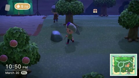 Animal Crossing: Online in a Nutshell