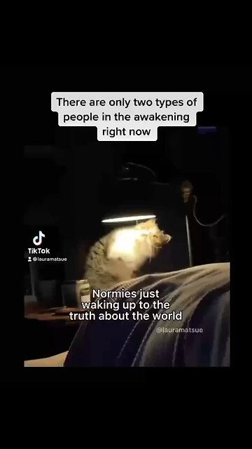 Normies Waking Up be like...