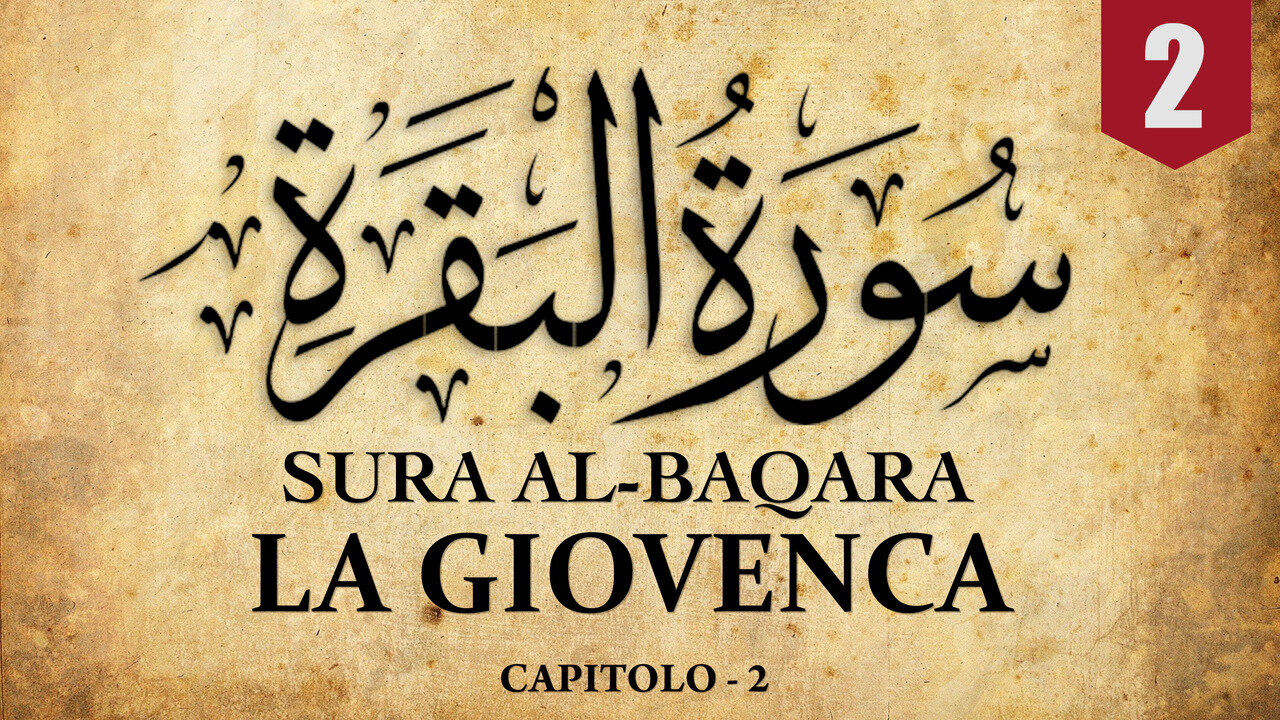 SURA BAQARA [LA GIOVENCA] - |CAPITOLO 2|