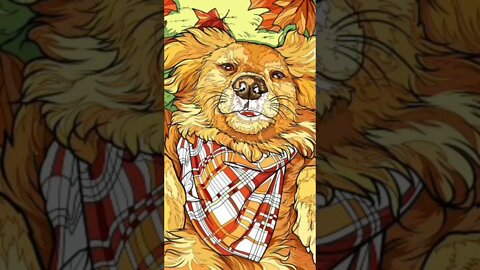 Here is a cute doggo