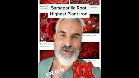 Sarsaparilla Root