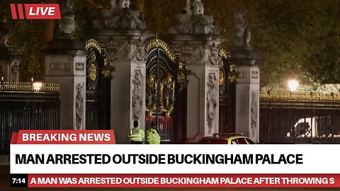 Man arrested outside Buckingham Palace