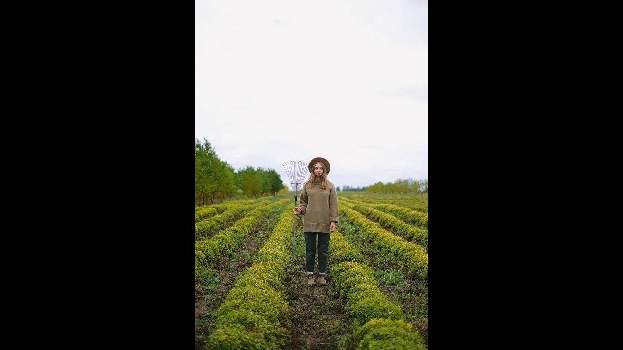 Agriculture Forming Beautiful ❤️❤️ Short Video...