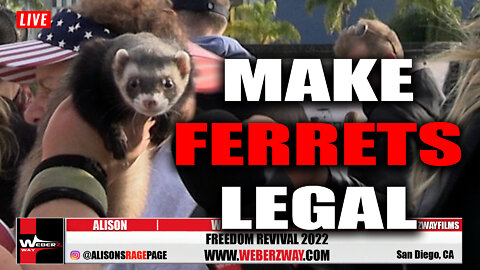 MAKE FARRETS LEGAL