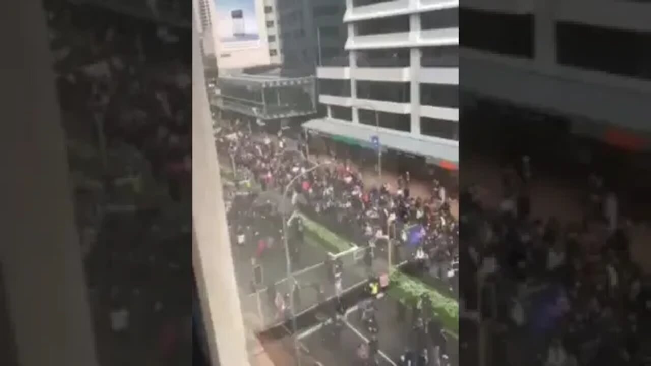 Newzland Protests