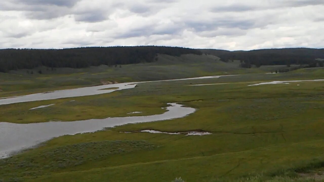 Hayden valley Yellowstone