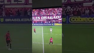 vídeos shorts do kawai #shorts