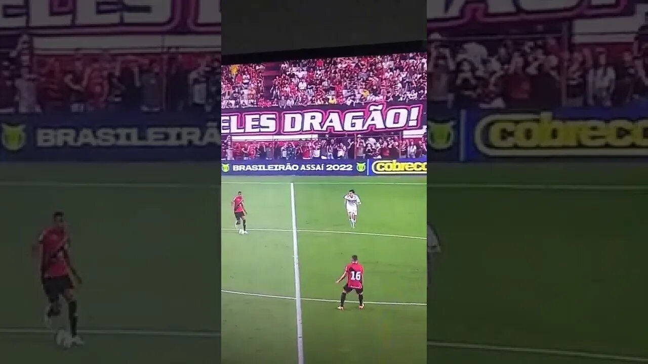 vídeos shorts do kawai #shorts