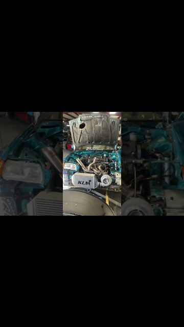 #shorts #2022 funny,prank,funjokes,dad jokes,funny memes,funny video,fun,laughing,funny animal,knock