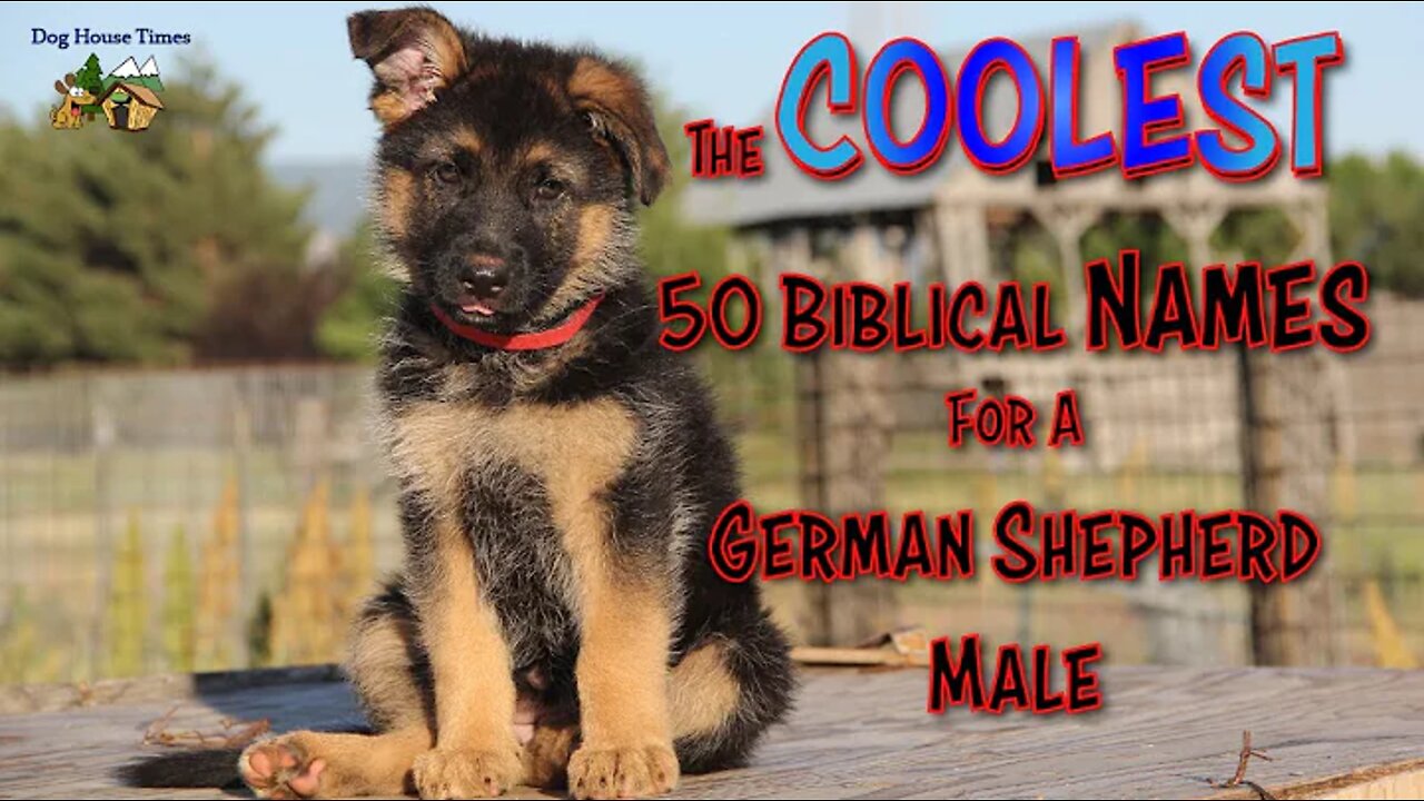 The Coolest 50 Biblical Names for a German Shepherd Male