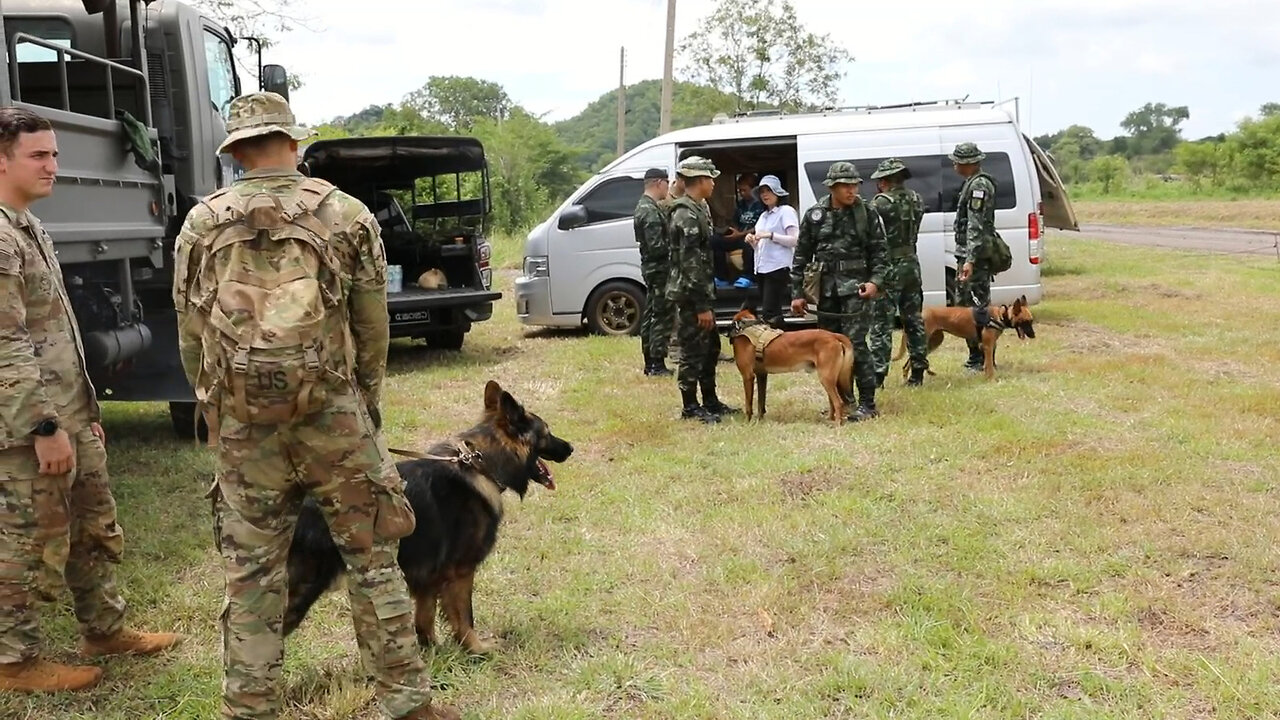 Military Working Dogs Explosives Ordinance Disposal Hanuman Guardian 2023