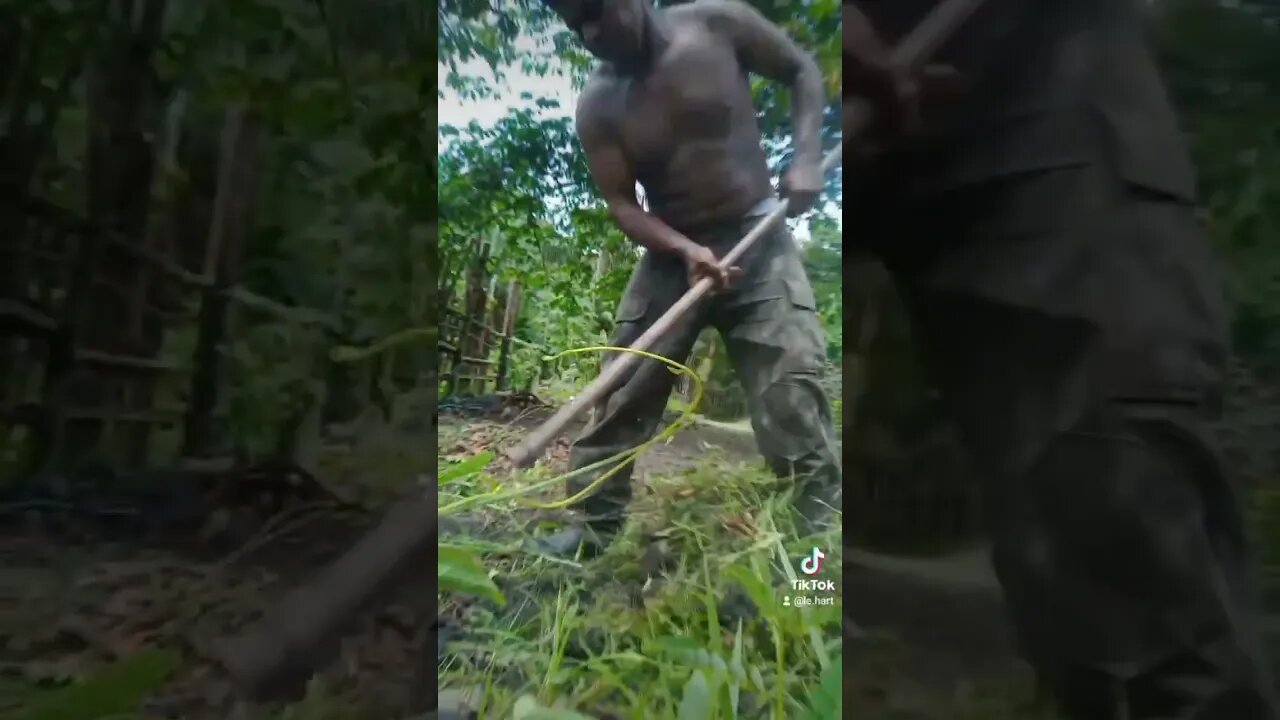 Dia de faxina 🥱🥱🥱