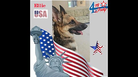 Woofs and Wags: Graphics for Furry Friends - Independence Day 2024