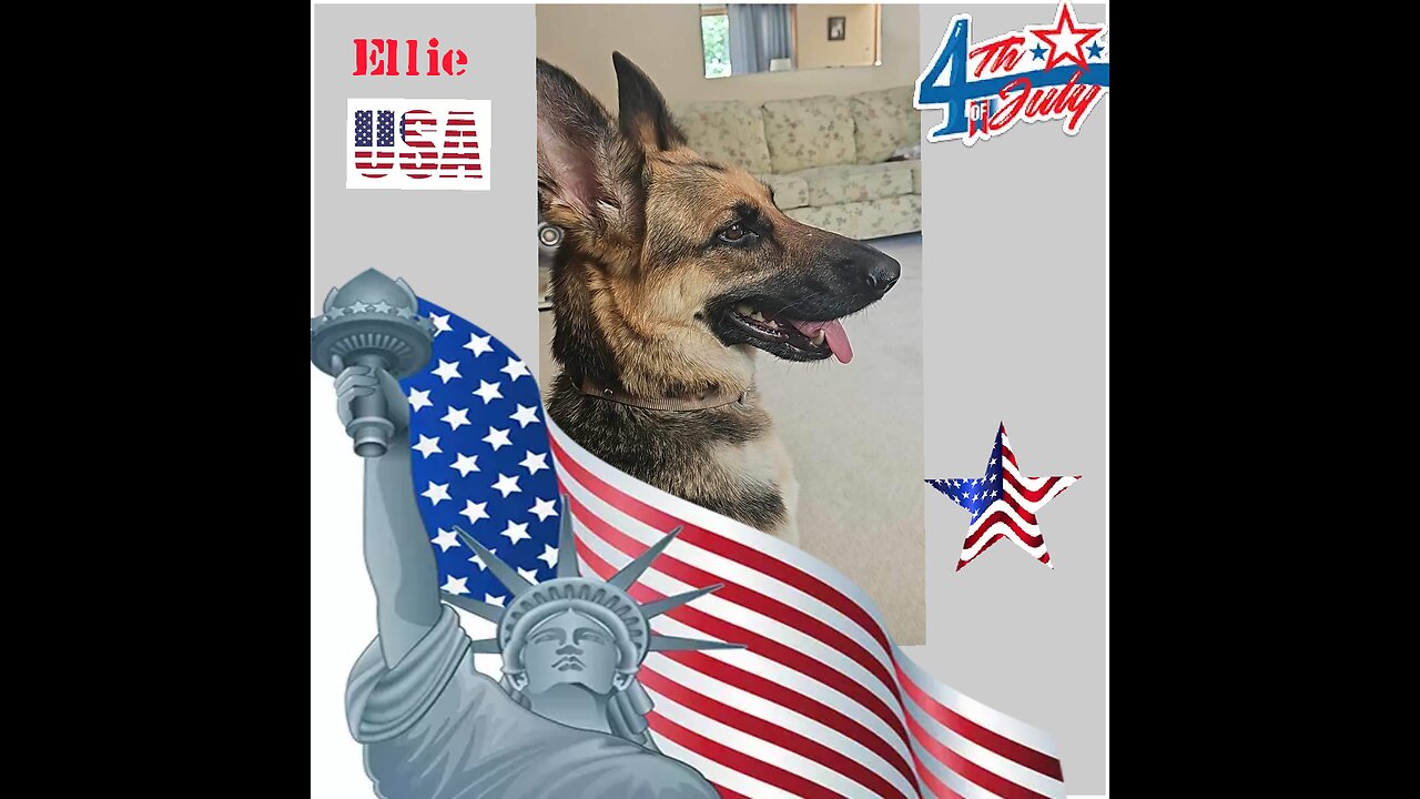 Woofs and Wags: Graphics for Furry Friends - Independence Day 2024
