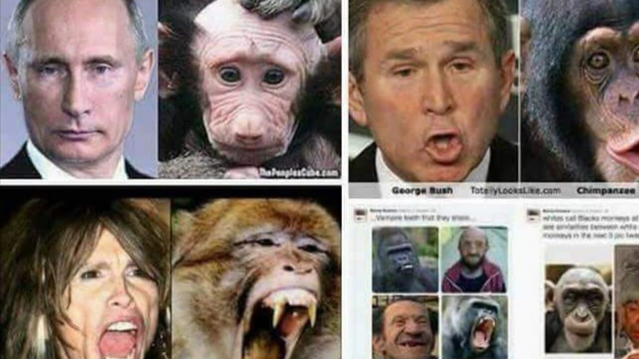 STOP 🛑 MONKEYING AROUND!!!🙃🤣