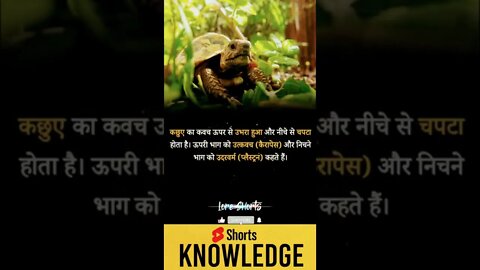 Motivational Quotes Intresting Facts lifestyle & research #shorts #ytshorts #knowledge #motivation