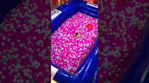 SATISFATORIO PICINA DE BOLINHA #SHORTS