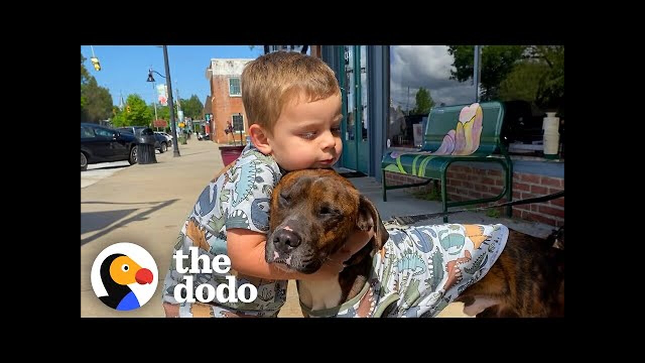 Dad Really Didn't Want To Adopt This Foster Dog...