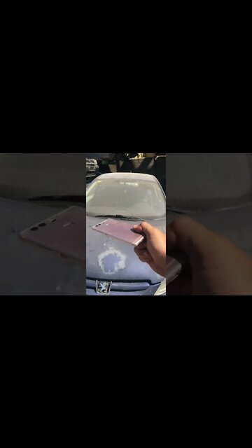 #shorts #2022 funny,prank,funjokes,dad jokes,funny memes,funny video,fun,laughing,funny animal,knock