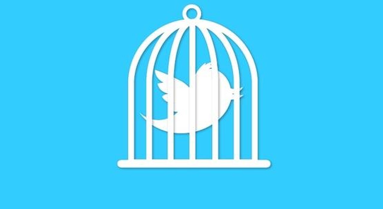 Twitter VP of Trust & Safety resigns during censorship controversy