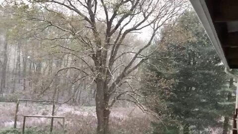 happy spring?