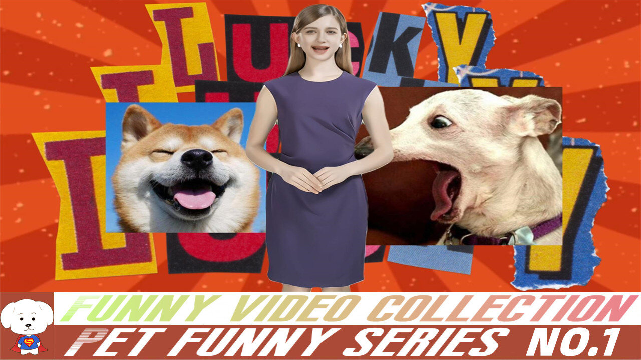 Funny Videos Collection💽Pet Funny Series NO.1