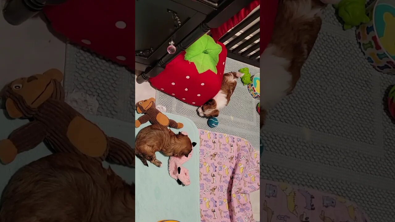 May 3rd... Party In The Kitchen(2)