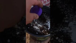 Premium soil, Chicken poop, Root powder & Perlite