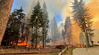 Yosemite Wildfire Threatens Grove Of Iconic Sequoia Trees