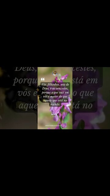 1 João 4,4 - Vós, filhinhos, sois de Deus, e os vences­tes, porque o que está em vós é maior do que