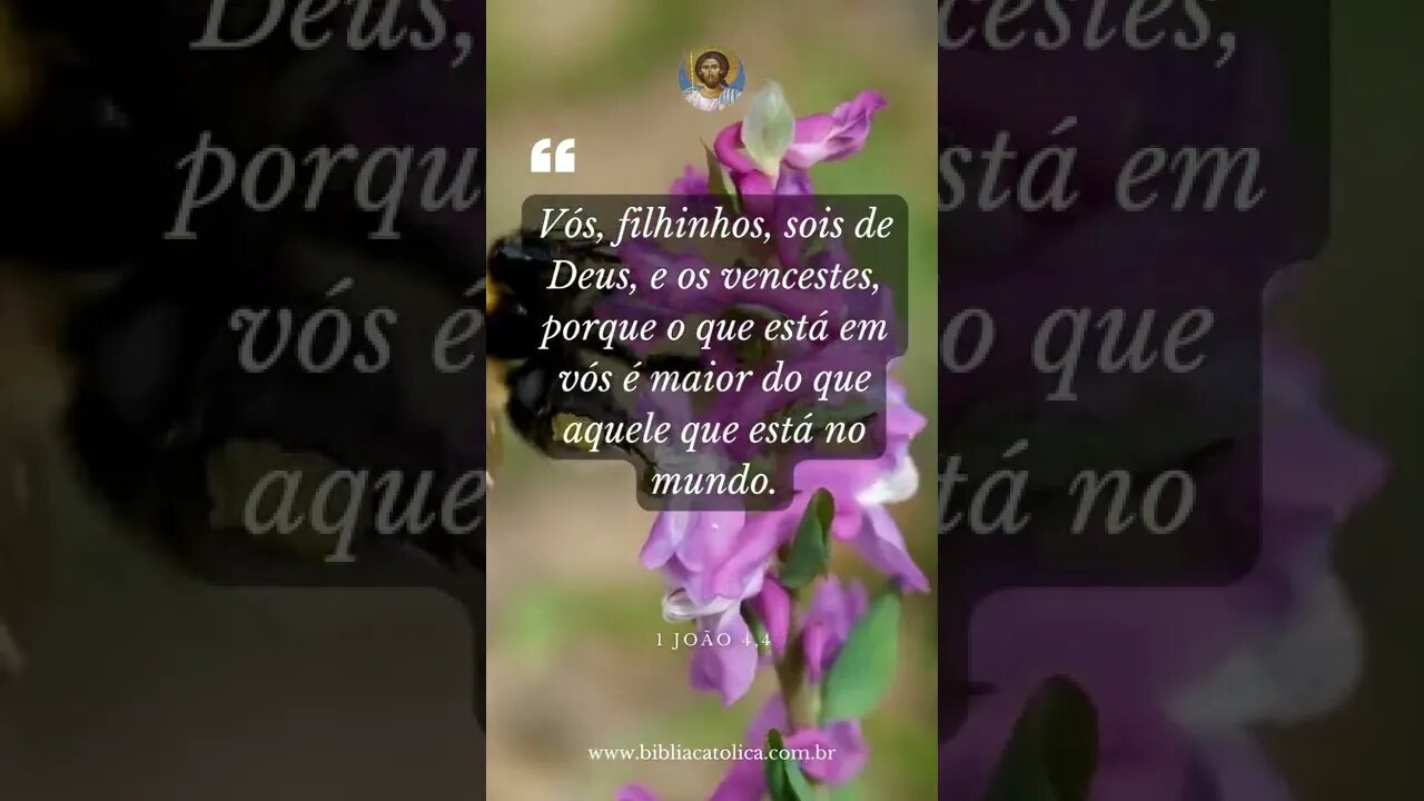 1 João 4,4 - Vós, filhinhos, sois de Deus, e os vences­tes, porque o que está em vós é maior do que