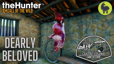 Dearly Beloved, Cuatro Colinas | theHunter: Call of the Wild (PS5 4K)