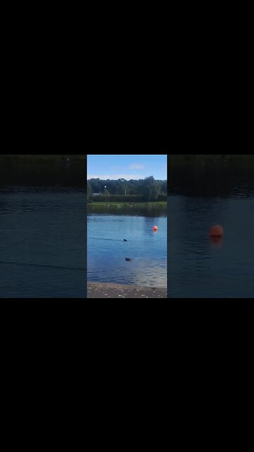 A Deep Thinking Man Is A Dangerous Man... #fivemroleplay #fresh #health #views