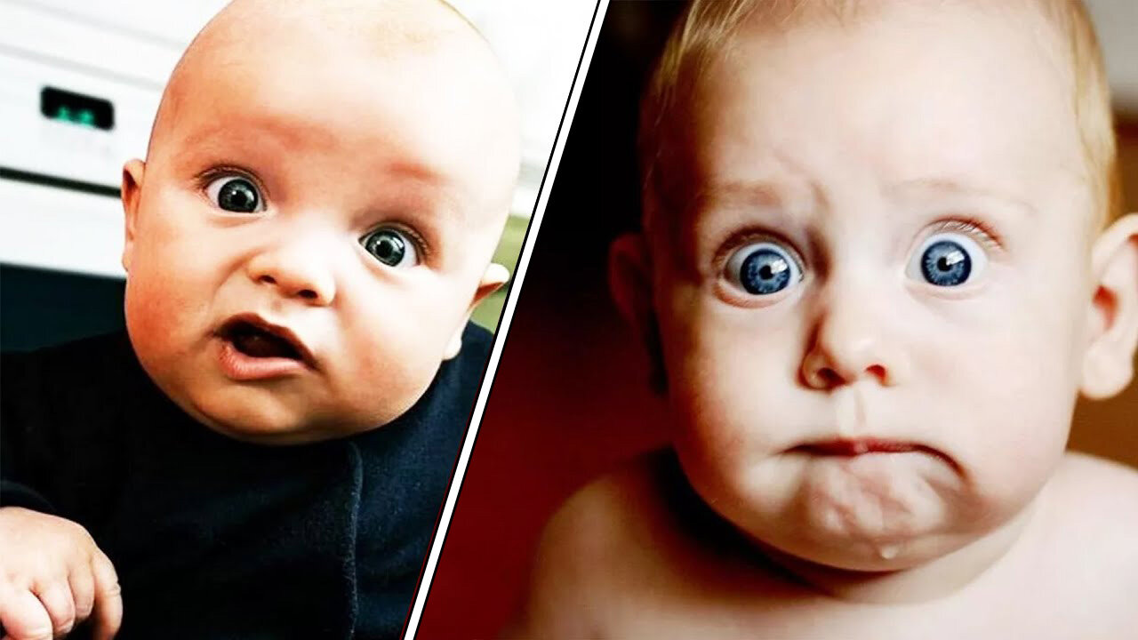 Funniest Babies | Cute Baby Funny Moments