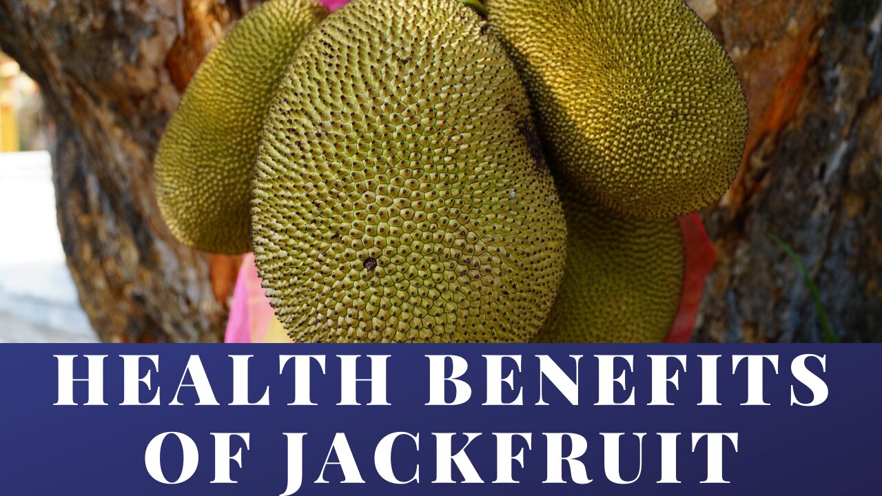 8 Surprising Health Benefits of Jackfruit (Artocarpus heterophyllus)