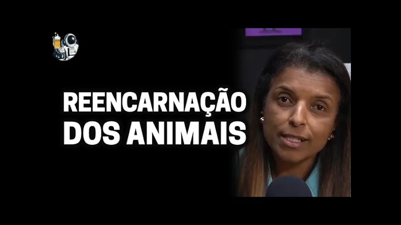 "A ENERGIA DO GATO É UMA ENERGIA DE FEITIÇARIA" com Vandinha Lopes | Planeta Podcast (Sobrenatural)