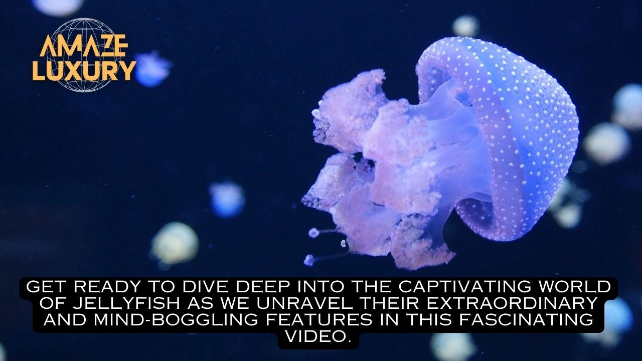 Jellyfish: The Brainless Wonders