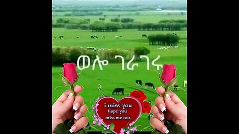 የወሎ ሙዚቃ /Music