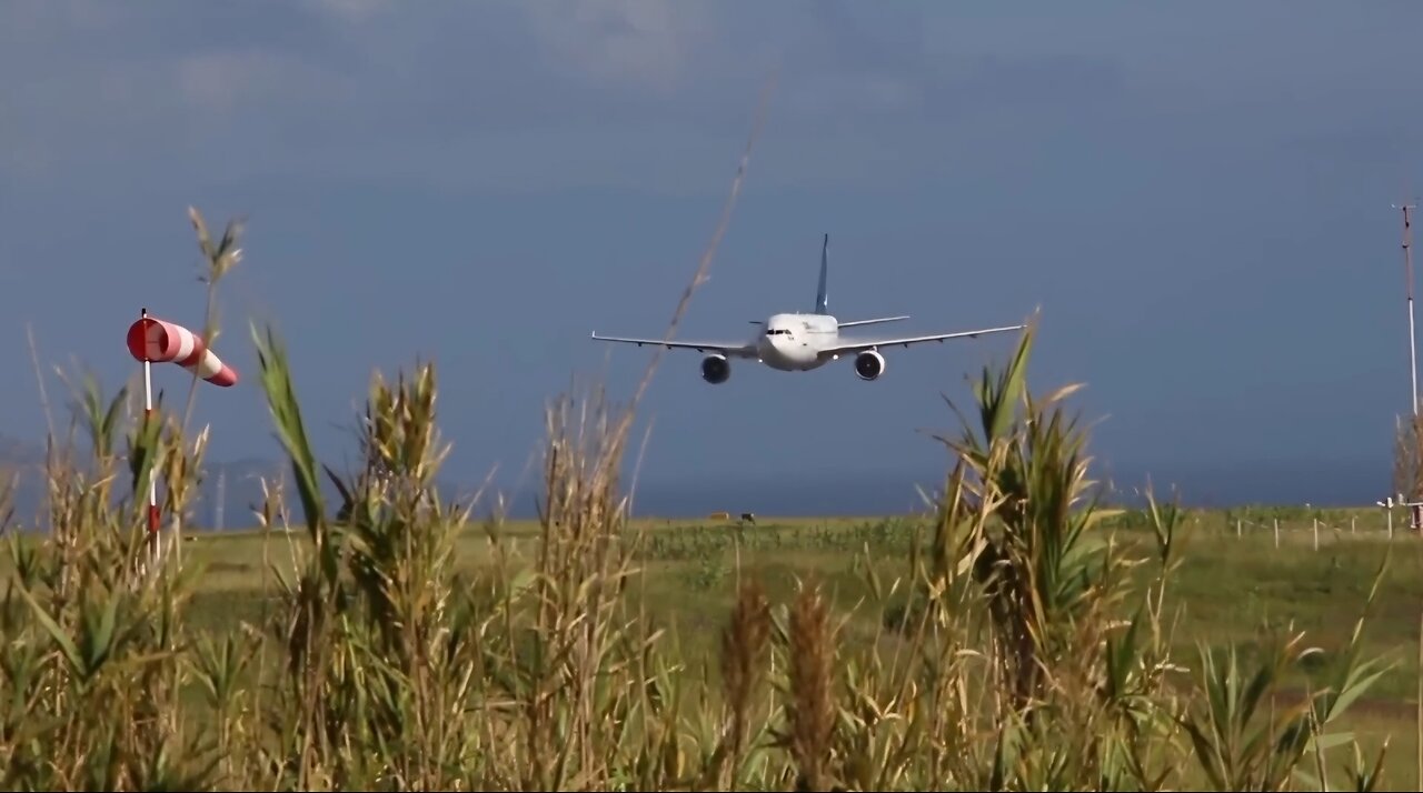 Low fly by A310