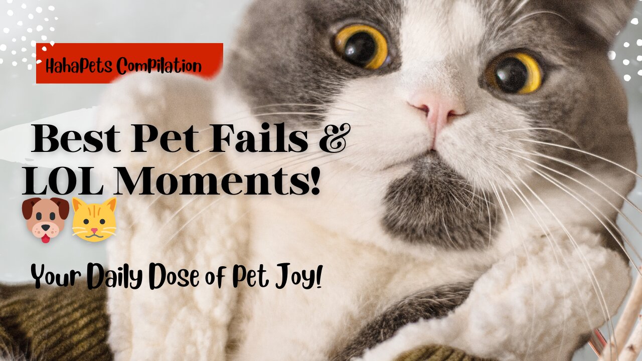 "😂 HahaPets: Funniest Pets Video Compilation🐶🐱 LOL Moments & Cute Fails"