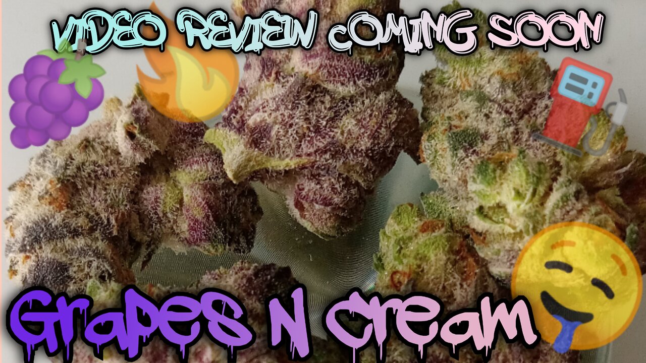 #109 Grapes N Cream (Video Review Coming Soon) MUV Dispensary Product