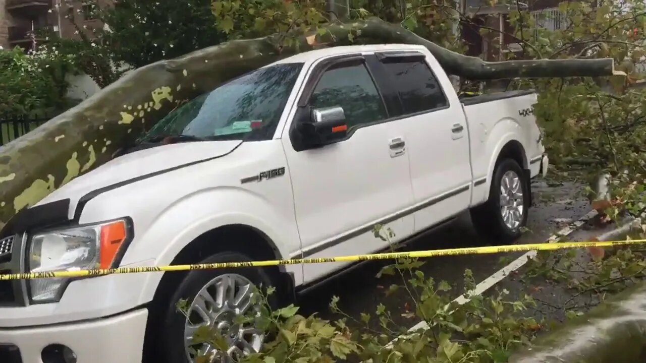 🔴👀🔴 Hurricane Dorian Takes Down Tree in Brooklyn; Crushes 4x4 Truck