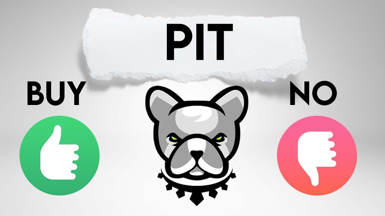 Pit token. Should you buy Pitbull coin?