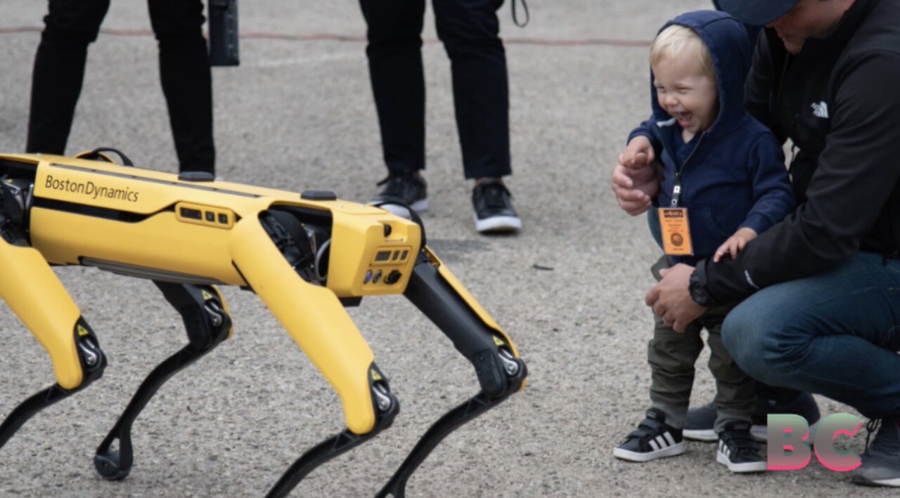 Navy researchers test robot dogs for ship maintenance