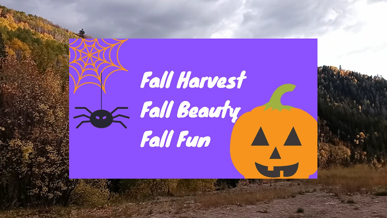 Fall Beauty, Fall Harvest, Fall Fun